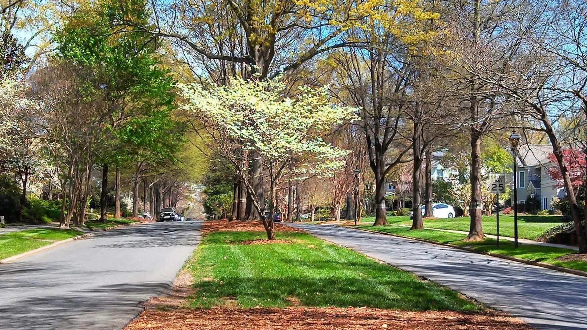 Holiday home Relax And Recharge In Myers Park Villa Charlotte United States